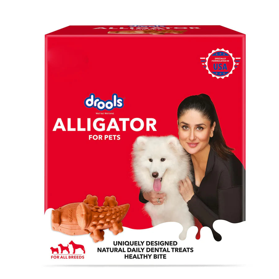 Drools Alligator Dental Treat for Dogs