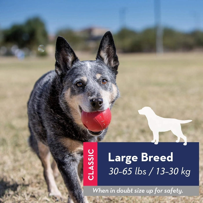 Kong Ball with Hole Dog Fetch Toy