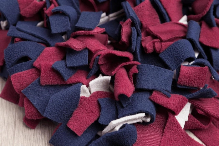 Trixie Activity Sniffing Carpet Strategy Game for Dogs