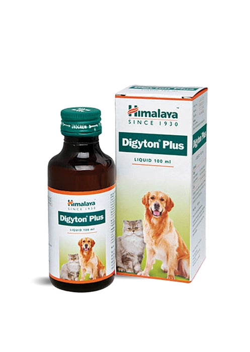 Himalaya Digyton Plus Dogs and Cats Syrup
