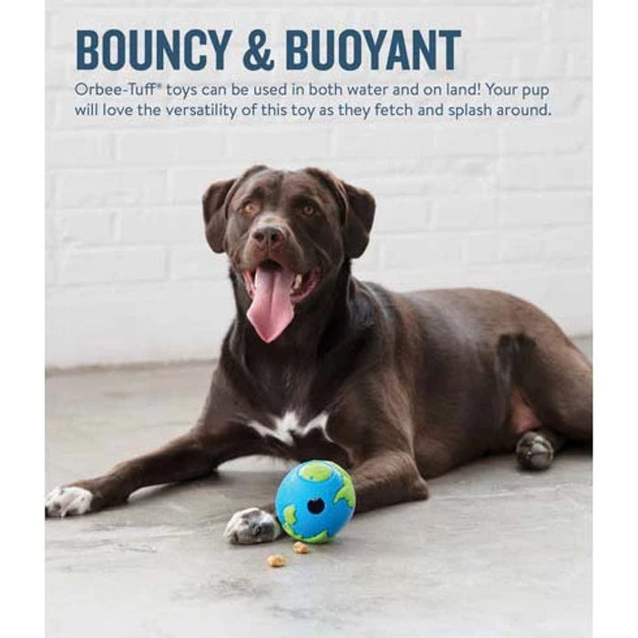 Petstages Orbee Tuff Planet Ball for Dogs
