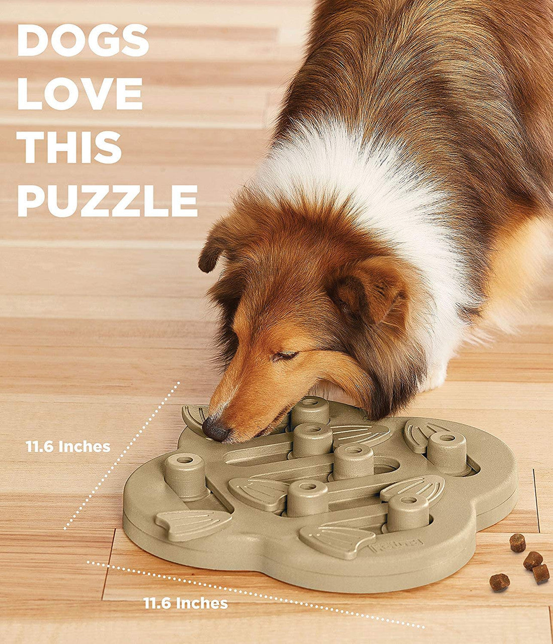 Outward Hound Nina Ottosson Hide N Slide Dog Puzzle