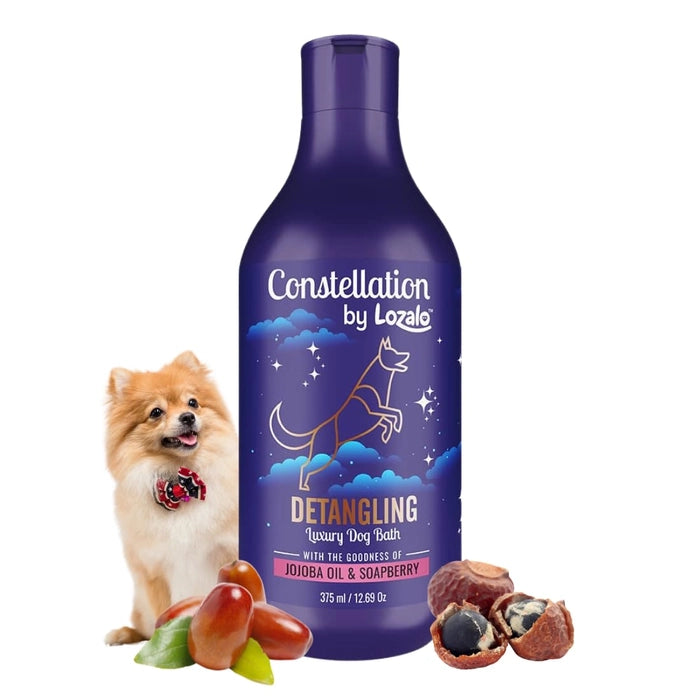 Lozalo Const Calming Cat Shampoo