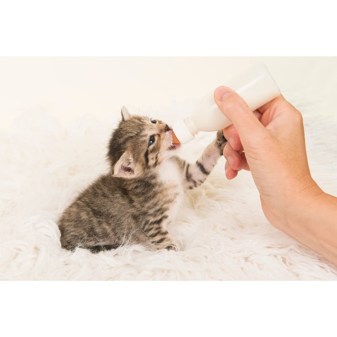 Trixie Suckling Bottle Set for Newborn and Small Animals