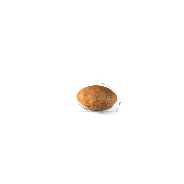 Royal Canin Persian Adult Cat Dry Food