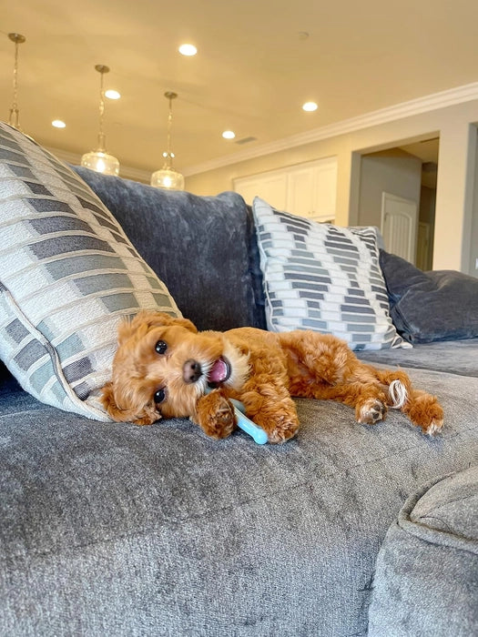 Nylabone Puppy Wishbone Chew Toy