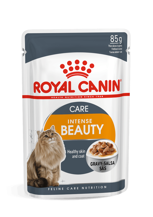 Royal Canin Intense Beauty Cat Wet Food