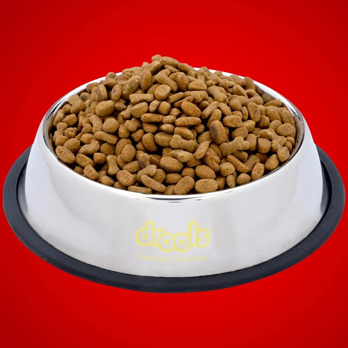 Drools Dog Feeding Bowl