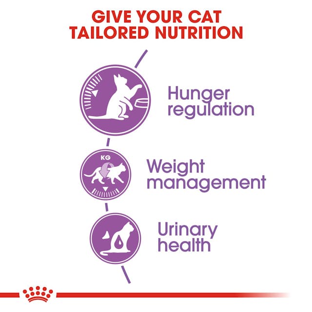 Royal Canin Appetite Control  Cat Dry Food