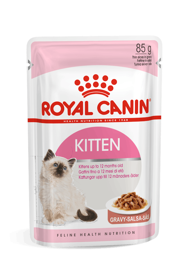 Royal Canin Kitten Cat Wet Food