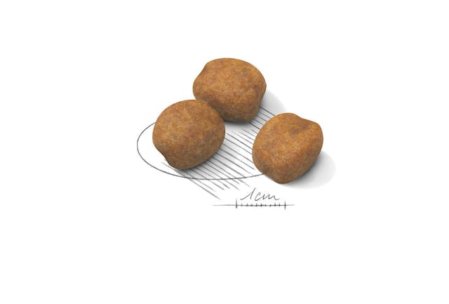 Royal Canin Giant Puppy Dog Dry Food