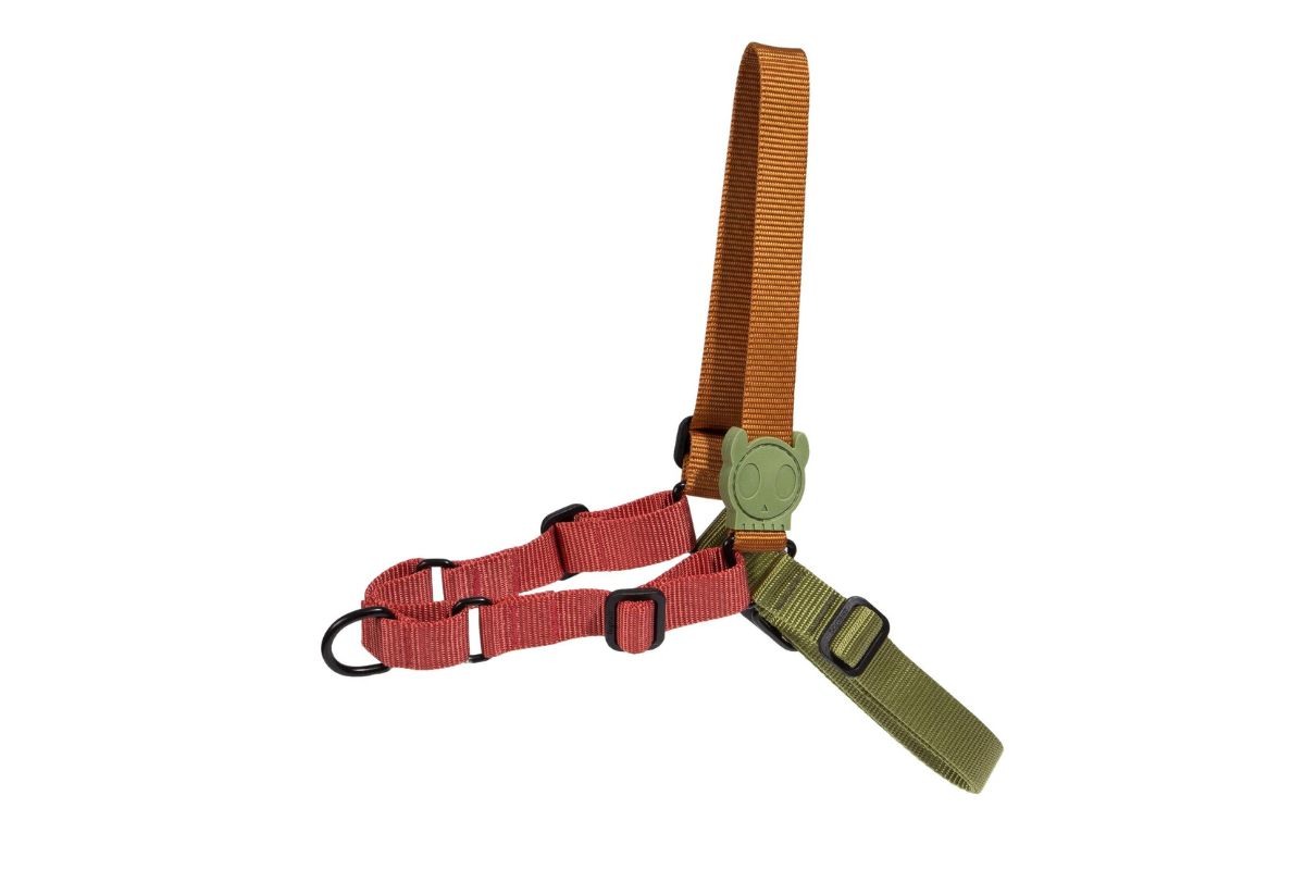 Zee Dog Bit Softwalk Harness for Dogs
