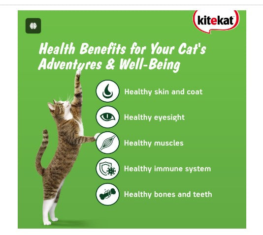 Kitekat Ocean Fish Adult Cat Dry Food