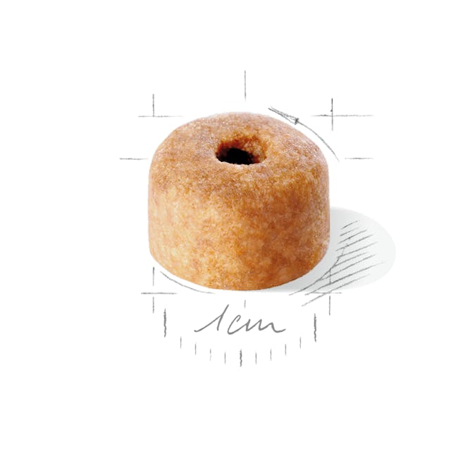 Royal Canin Labrador Retriever Puppy Dog Dry Food