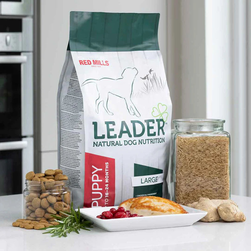 Leader Large Breed Puppy Dry Food