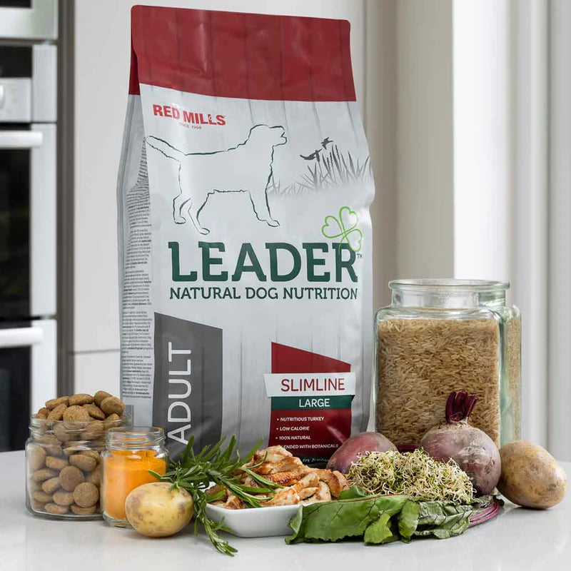 Leader Large Breed Adult Dog Dry Food