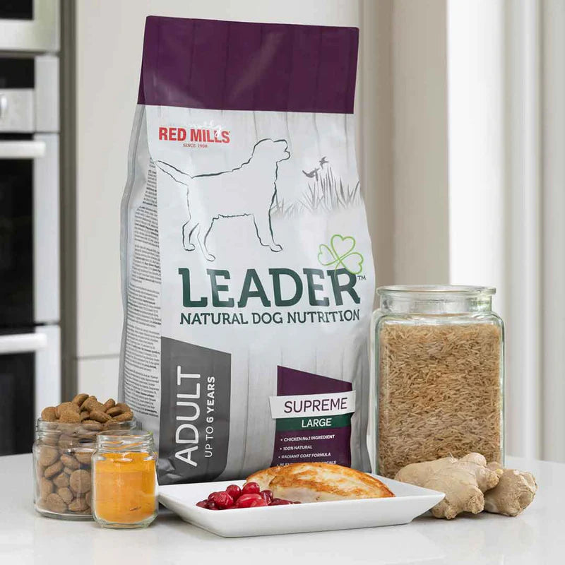 Leader Large Breed Adult Dog Dry Food