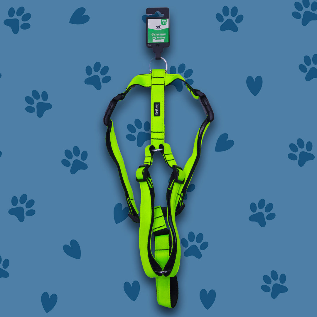 Story Tails Pet Walk Premium H Harness for Dogs