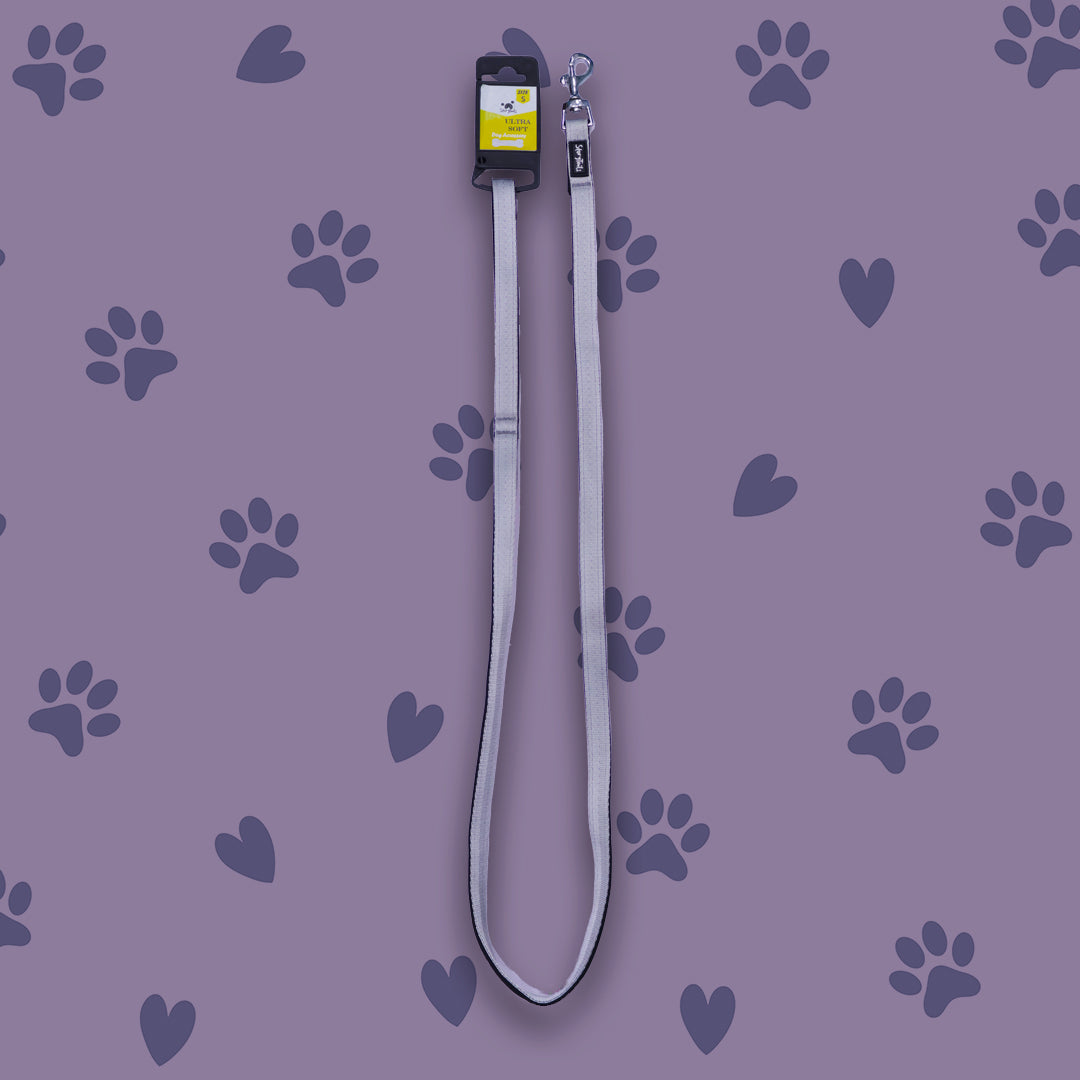 Story Tails Pet Walk Premium Leash