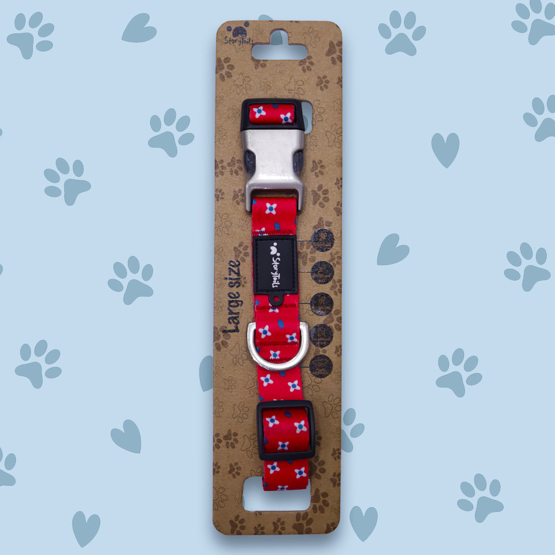 Story Tails New Digital Series Collar