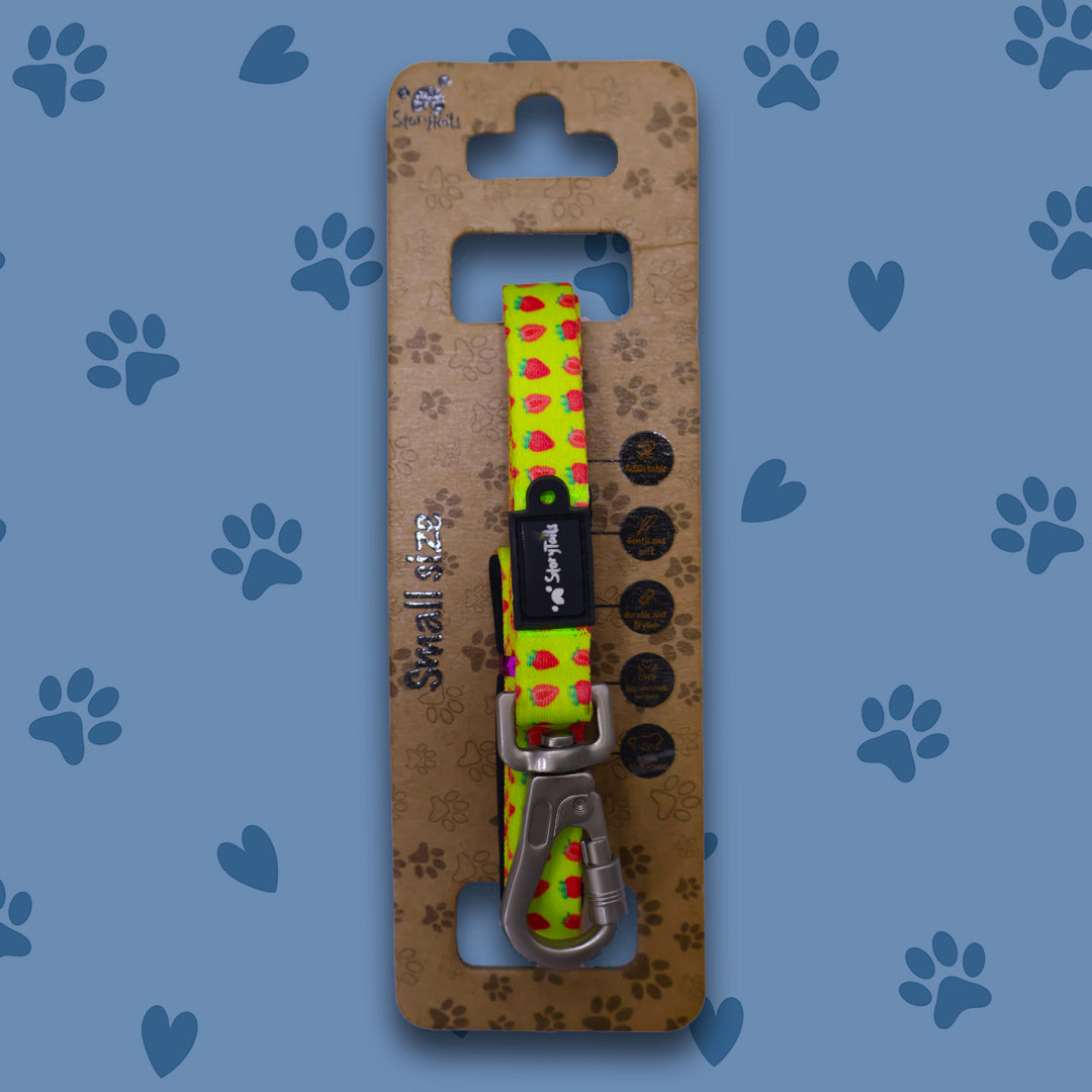 Story Tails New Digital Series Leash