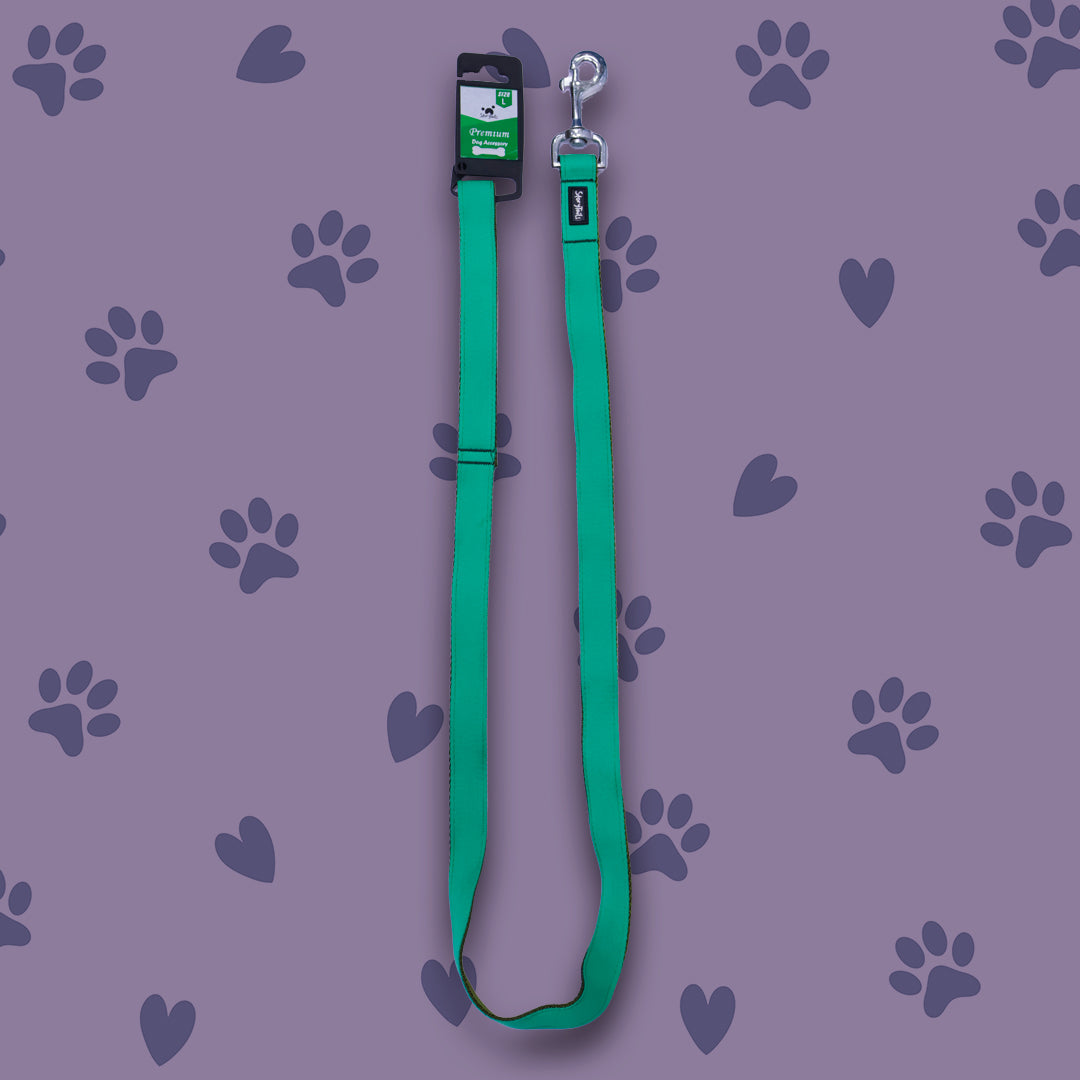 Story Tails Pet Walk Premium Leash