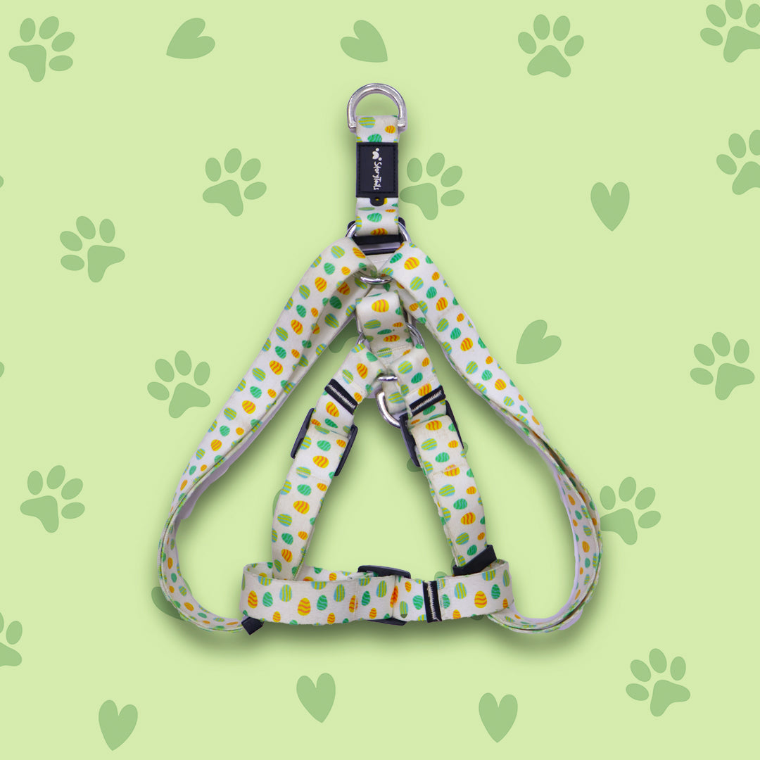 Story Tails New Digital Series Step In Harness for Dogs