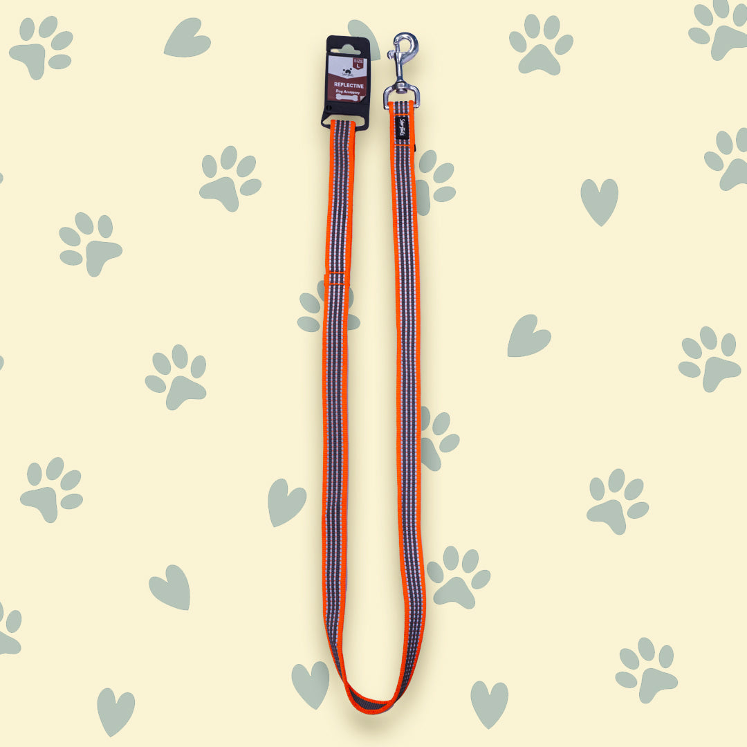 Story Tails Reflective Leash