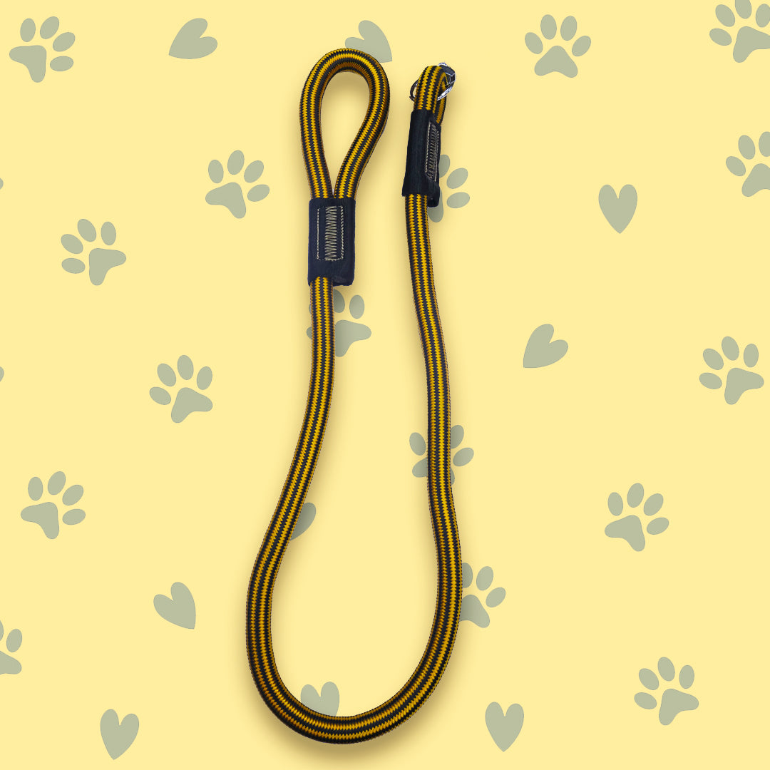 Story Tails HD Rope Leash for Dogs