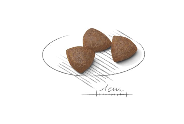 Royal Canin Medium Starter Dog Dry Food