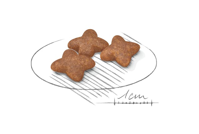 Royal Canin Mini Adult Dog Dry Food