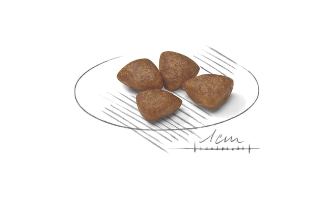 Royal Canin Mini Starter Dog Dry Food