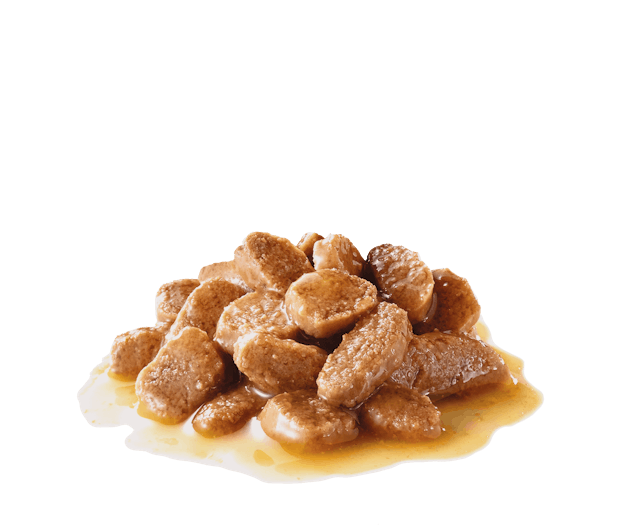 Royal Canin Mini Adult Dog Wet Food