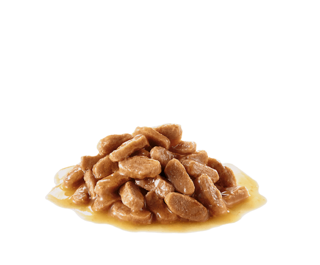 Royal Canin Mini Puppy Dog Wet Food