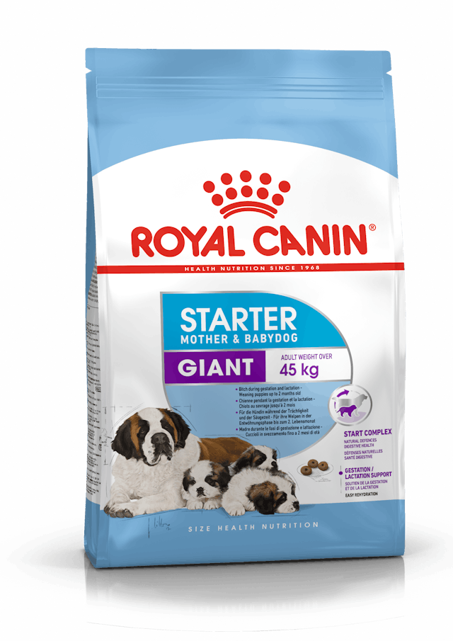 Royal Canin Giant Starter Dog Dry Food