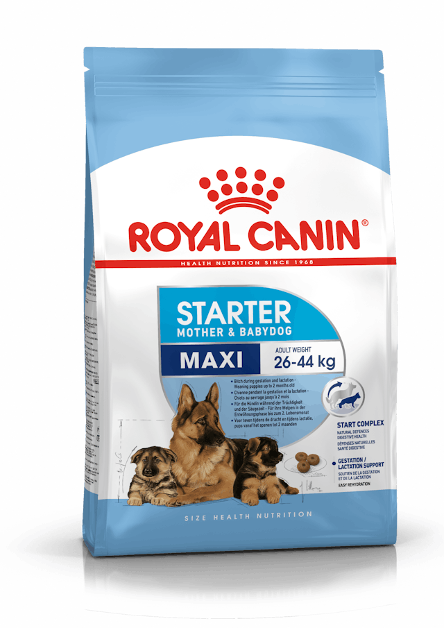 Royal Canin Maxi Starter Dog Dry Food