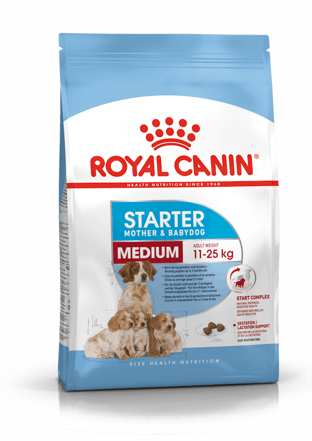 Royal Canin Medium Starter Dog Dry Food