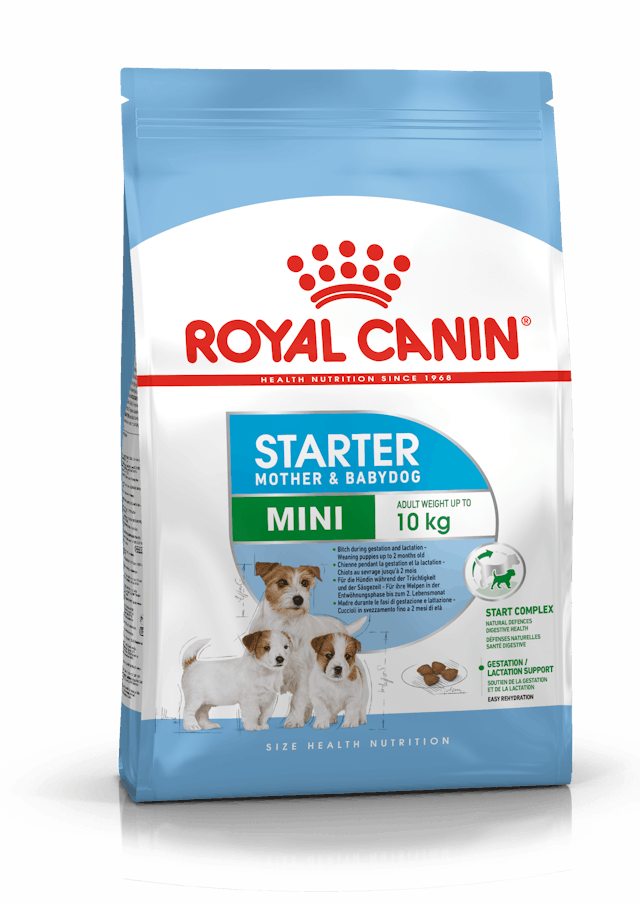 Royal Canin Mini Starter Dog Dry Food
