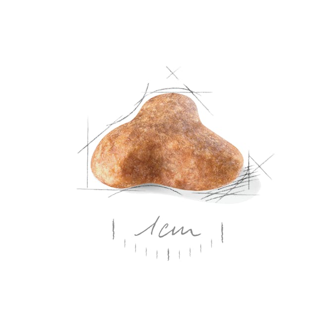 Royal Canin Pug Adult Dog Dry Food