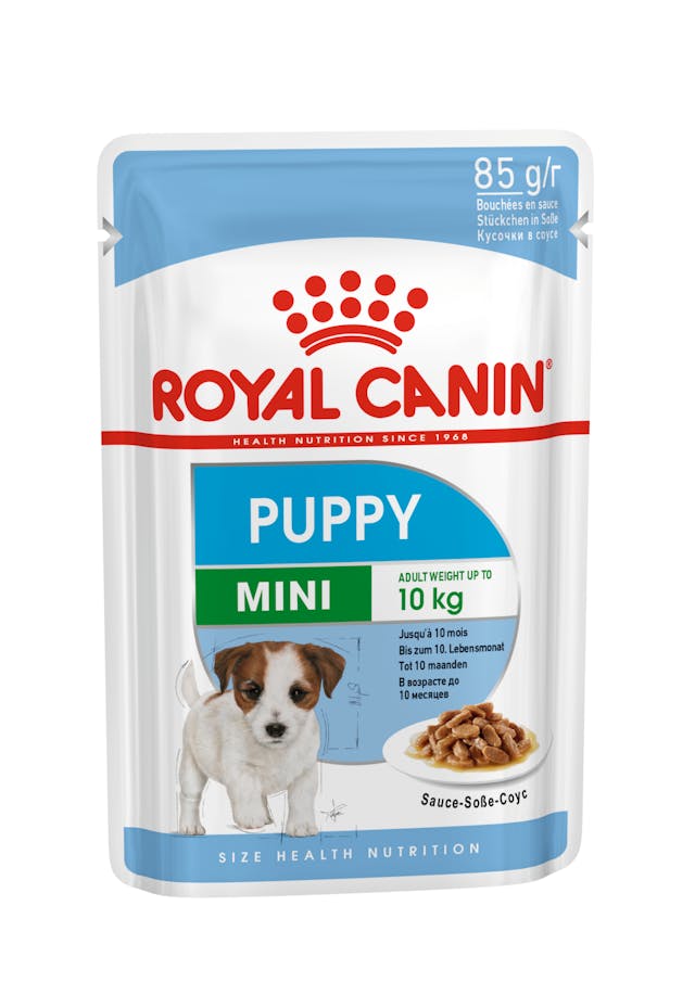 Royal Canin Mini Puppy Dog Wet Food