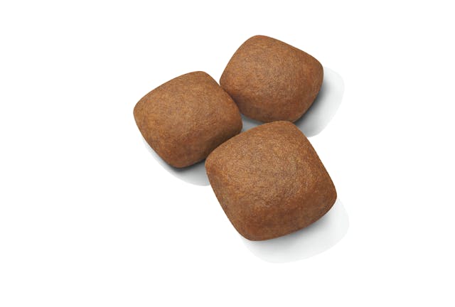 Royal Canin Giant junior Dog Dry Food