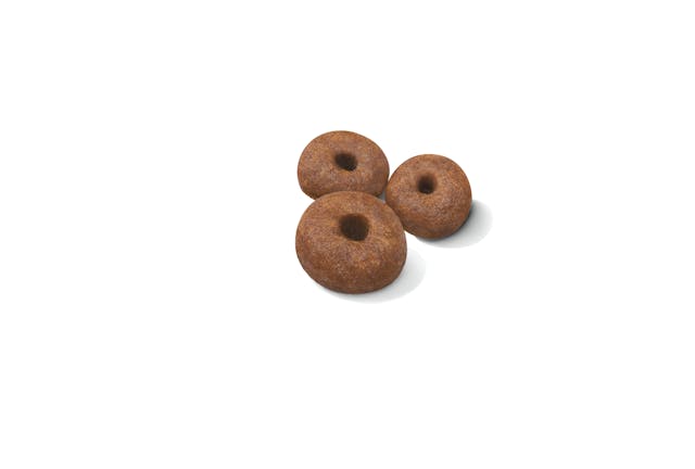Royal Canin Giant Starter Dog Dry Food