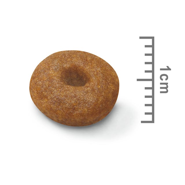 Royal Canin Maxi Starter Dog Dry Food