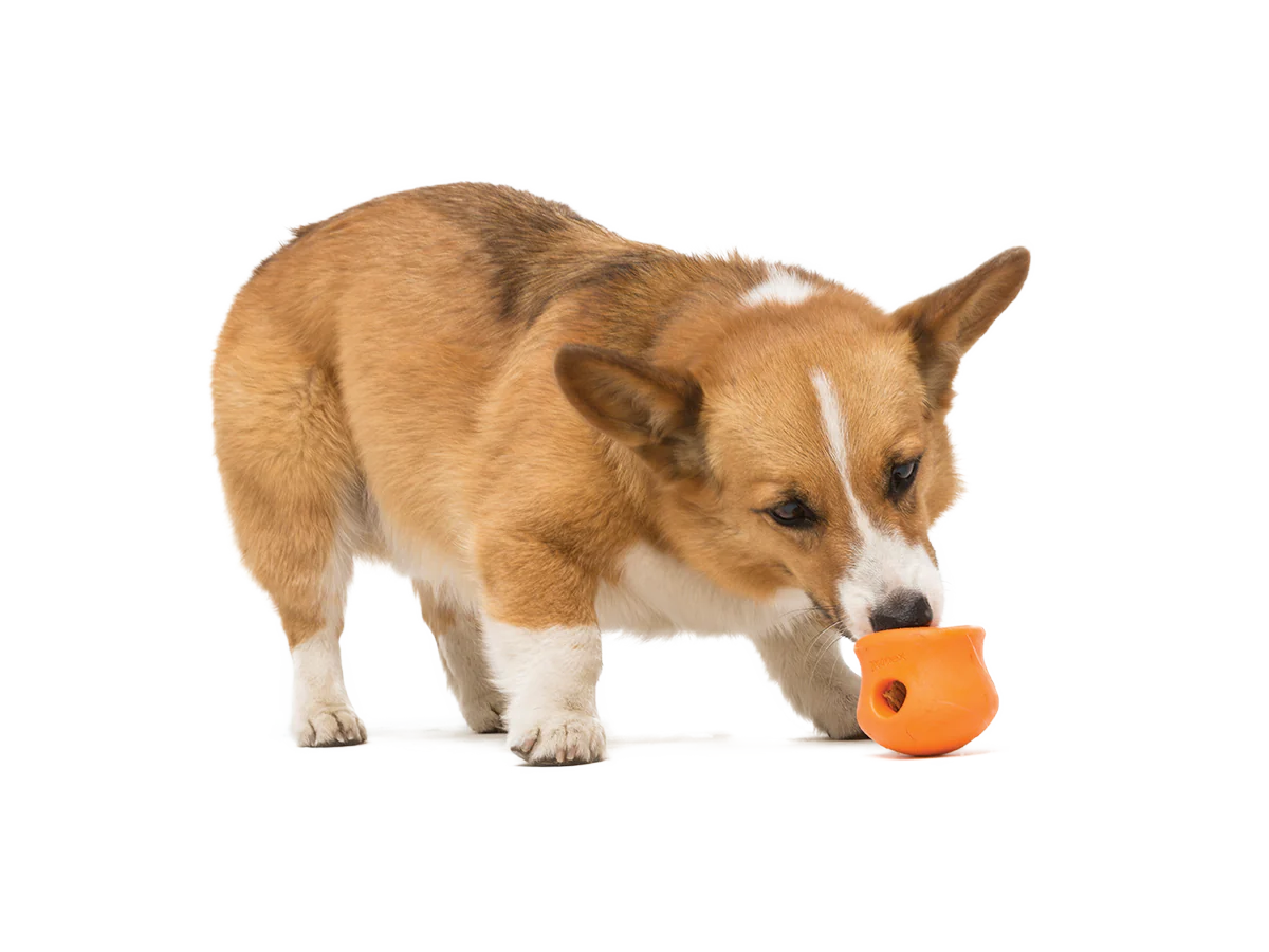 West Paw Zogoflex Toppl Dog Treat Toy