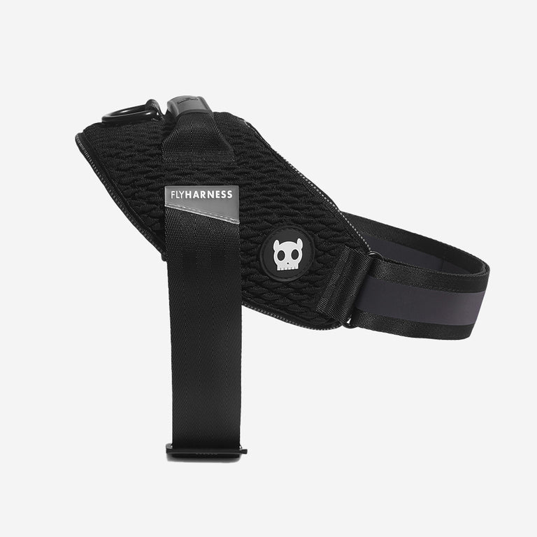 Zee Dog Flyharness Galaxy