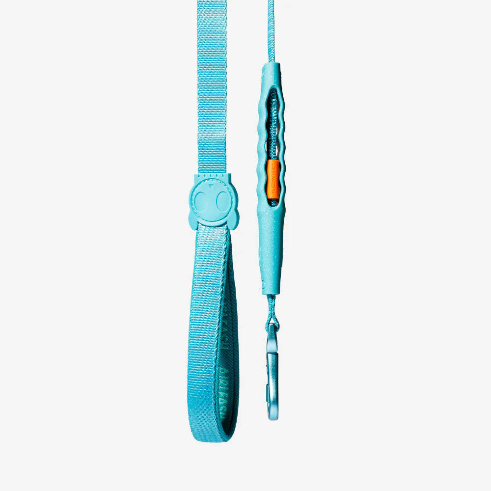 Zee Dog Air Leash for Dogs