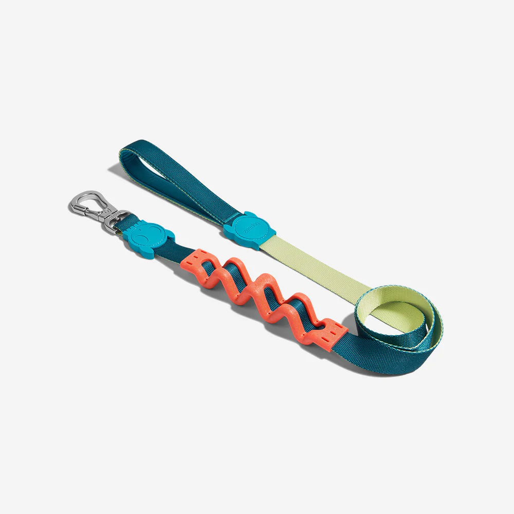 Zee Dog Ruff Leash For Dogs