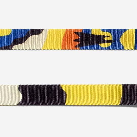 Zee Dog Collar for Dogs