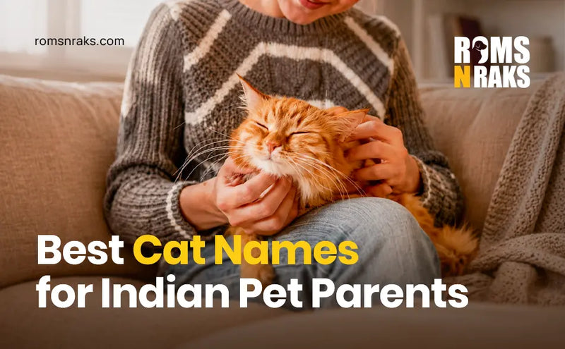 200+ Best Cat Names for Indian Pet Parents