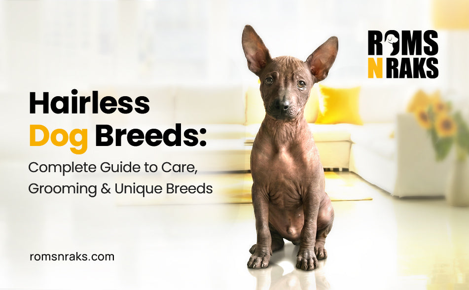 Hairless Dog Breeds: Complete Guide to Every Bald & Low Fur Dog